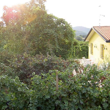 Agriturismo Monteortone Abano Terme Exterior photo
